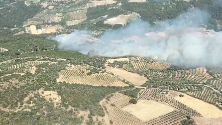 İzmir Bergama'da orman yangını - gundem