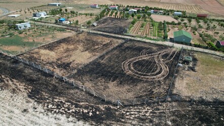 Bir yılan neredeyse tüm köyün yanmasına neden olacaktı - gundem