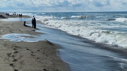 Karasu, Kaynarca ve Kocaali'de denize girmek yasaklandı - haberler