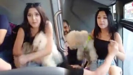 Ağızlıksız köpekle otobüse bindi, tepki gösteren yolculara tehditler savurdu - dunya