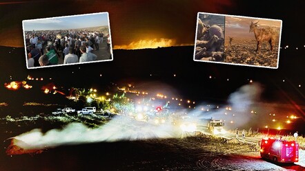 Anız ateşinde 12 hayat söndü! Uzmanlar 'son bulmalı' diyerek uyardı - gundem