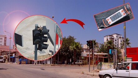 Annelik sıcaklara galip geldi! Adana'da açık alana yuva yapan kumru, yavrusunu 49 derece sıcaktan korudu - yasam