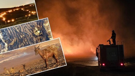 Diyarbakır-Mardin sınırında çıkan yangında ölenlerin sayısı 14'e yükseldi - gundem