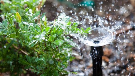 Sulamada yapay zeka dönemi başlıyor! Tarım ve Orman Bakanlığı'ndan yeni adım... - teknoloji