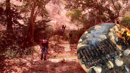 Aydın'da ormanda mangal yakanlar kaçamadı! Cezalar 100 bin lirayı geçti - gundem