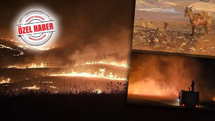 Tarla yangınlarında PKK parmağı var! Terör örgütü taktik değiştirdi - guncel