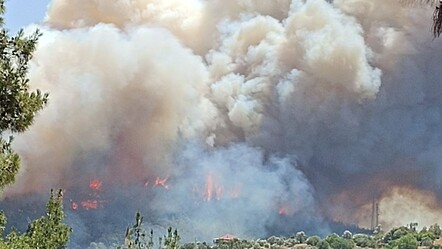 İzmir Menderes'te orman yangını! Havadan ve karadan müdahale ediliyor - gundem