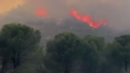 İzmir'in Menderes ve Çeşme ilçeleri dışında Selçuk'ta da yangın çıktı - gundem