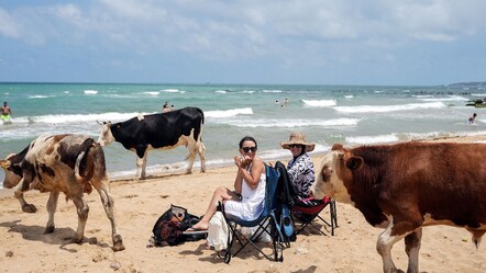 Özeller 800 TL isteyince, vatandaşın tercihi oldu! İstanbul'da bedava tatil - gundem