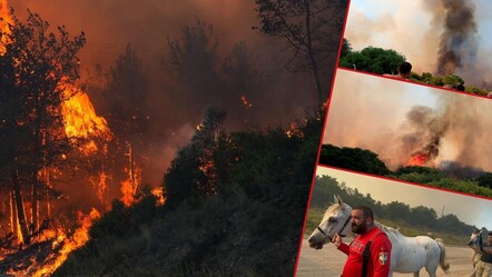 Yurdun dört bir yanında orman yangını! Havadan ve karadan müdahaleler sürüyor - gundem