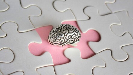 Beyin hakkında yeni bilgiler ortaya çıktı! Zaman hücreleri sadece zamanı takip etmekle kalmıyor... - teknoloji