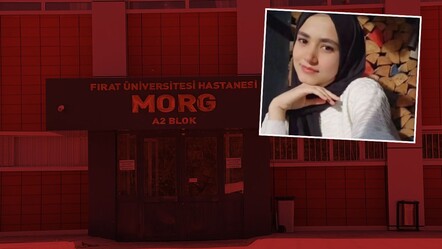 Elazığ'da eski koca dehşeti! 13 yerinden bıçaklayarak katletti - Yemek