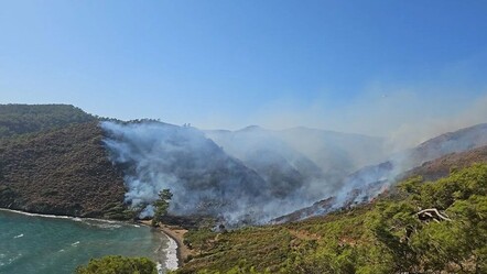 Marmaris yangınıyla ilgili 3 gözaltı - gundem