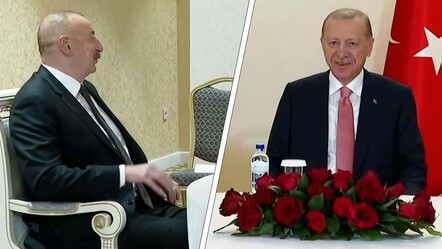 Erdoğan Aliyev'e takılmadan edemedi: Bayağı dirisin maşallah - gundem