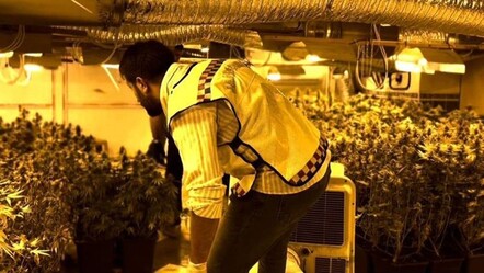 Tekirdağ'da hayrete düşüren olay! Uyuşturucu yetiştirmek için fabrika kurmuş - gundem