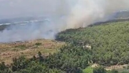 Antalya'nın Aksu ilçesinde orman yangınında çalışmalar devam ediyor - gundem