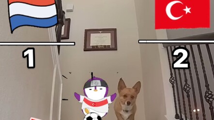 Avusturya maçında skoru bilen köpekten Hollanda için yeni tahmin: Türkiye 2-1 kazanacak - haberler