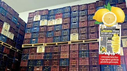 Limonun fiyatı böyle şişiyor... Kayıt dışı iki depodan 380 ton limon çıktı - ekonomi