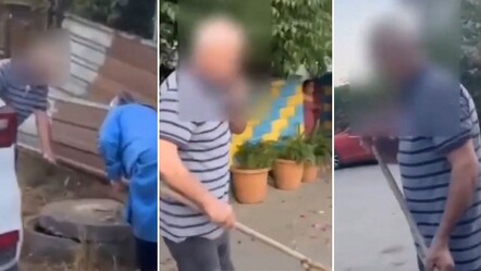 Sokak köpeklerine yemek bırakan kadını sopayla dövdüler - dunya