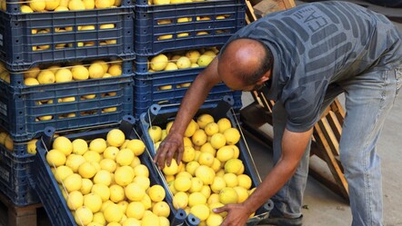 Ticaret Bakanlığı Bakan Ömer Bolat'ın limon fiyatı hakkındaki açıklamalarının çarpıtılmasına tepki gösterdi - ekonomi