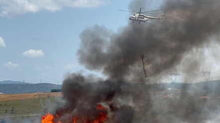 Tuzla'da orman yangını! Ekipler olay yerinde - haberler