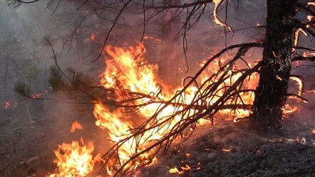 Yurdun dört bir yanında orman yangını! Müdahaleler sürüyor, yerleşim yerleri risk altında - gundem