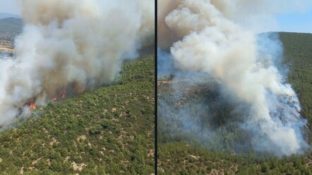 Bodrum Pınarbelen Mahallesi'ndeki orman yangınına havadan da destek sağlanıyor - gundem