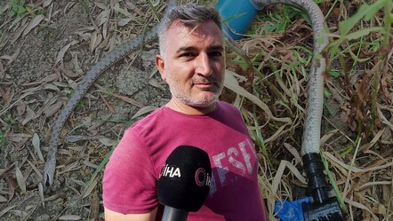 Hatay'da borunun içinden çıkan yılan şoke etti! - dunya