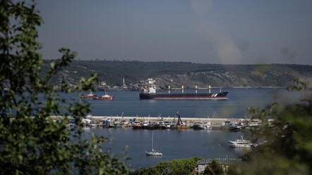 İstanbul'da gemi trafiği askıya alındı - haberler