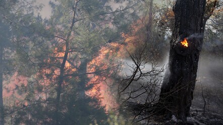 Muğla Bodrum'daki orman yangını 18. saatinde kontrol altına alındı! İşte Bodrum'da yanan alan - haberler