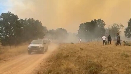 Edirne'de yangın! Bulgaristan sınırı alevlere teslim, ekipler sevk edildi - haberler