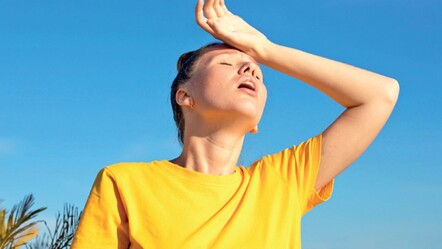 Gölgede de çarpılabilirsiniz! Sadece sıcak değil nem de hasta ediyor - gundem