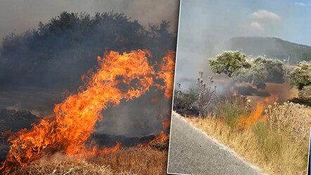 Muğla'da korkutan yangın! Bodrum'da alevler bir kez daha yükseldi - haberler