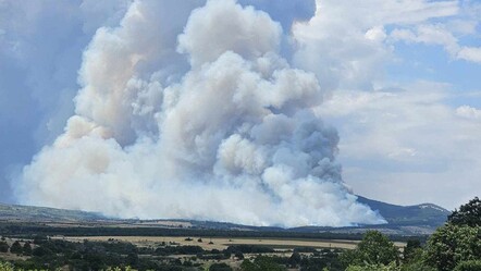 Yangın kapıya dayandı! Ekipler Bulgaristan-Türkiye sınırına yakın bölgede müdahale ediyor - gundem