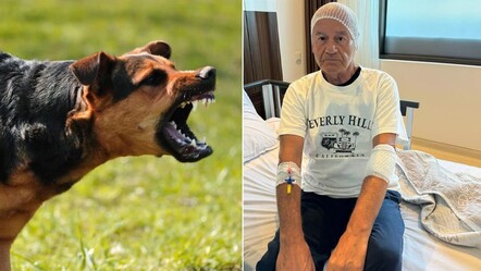 İş adamı Ercan Erdem'e başıboş köpek saldırısı! Ölümle burun buruna geldi - gundem