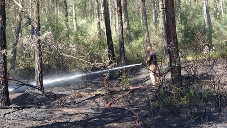 Maltepe Başıbüyük Ormanı'nda çıkan yangının nedeni henüz belirlenemedi - yasam