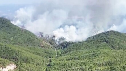 İzmir Bergama'da korkutan yangın! Havadan ve karadan müdahale ediliyor - gundem