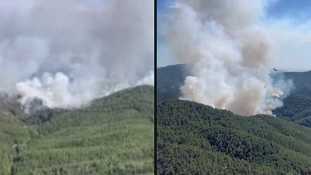 İzmir’in Bergama orman yangınında söndürme çalışmaları devam ediyor - haberler