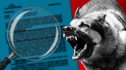 MASAK raporuyla ifşa oldu! Hayvanseverlerden topladıkları parayı, mama firmalarına göndermişler - gundem