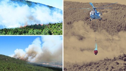 İstanbul Pendik'teki Aydos Ormanı'nda korkutan yangın! Alevler saatler süren mücadele sayesinde kontrol altına alındı - gundem