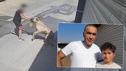 Sokak köpeğine elini kaptırmıştı! 11 yaşındaki çocuk korku dolu anları anlattı - gundem