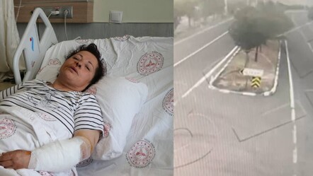 Niğde'de başıboş köpekler kadına saldırdı! Köpeklerin sahibi gözaltına alındı - gundem