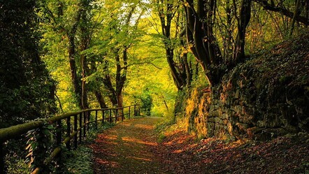 Tarım Bakanlığından genelge: Gece sulama yapın aracınızı yıkarken tasarruflu olun - ekonomi