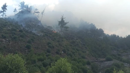 Adana Feke’de çıkan orman yangını için havadan da çalışma sürüyor - Haberler