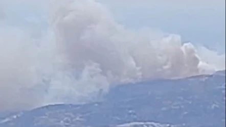 Bugün İzmir Dikili Çandarlı Mahallesi'nde çıkan orman yangınını söndürme çalışmaları devam ediyor - Haberler