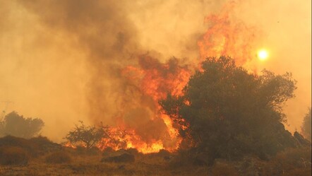 İzmir Dikili'deki orman yangınında yerleşim yerleri tehlike altında! - teknoloji