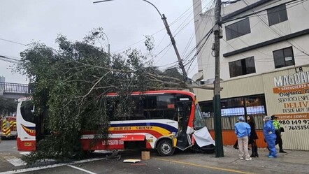 Peru'da otobüs yaya geçidine daldı! Ölü ve 10'larca yaralı var - gundem