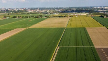 Atıl durumda olan tarlalar kiralanacak! Geleceğe yatırım diye boş duruyor... - ekonomi