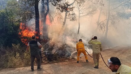 Adana Kozan'da orman yangını! Birçok ev tahliye edildi - haberler