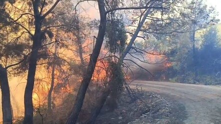 Adana'da çıkan orman yangını sebebiyle 10 ev tedbir amaçlı tahliye edildi - gundem